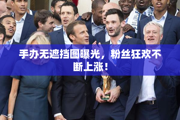 手办无遮挡图曝光，粉丝狂欢不断上涨！