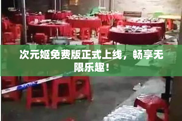 次元姬免费版正式上线，畅享无限乐趣！