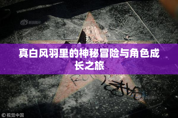 真白风羽里的神秘冒险与角色成长之旅