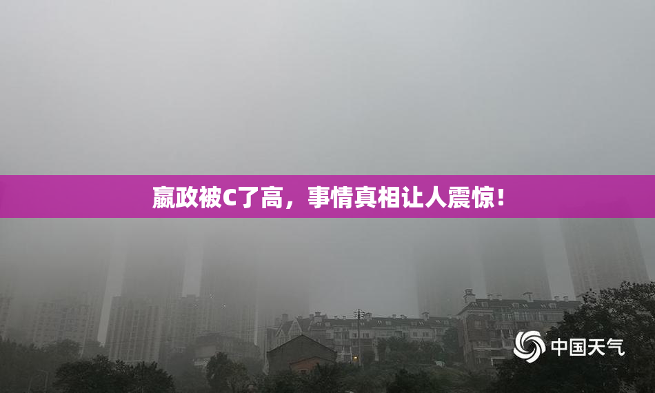 嬴政被C了高，事情真相让人震惊！