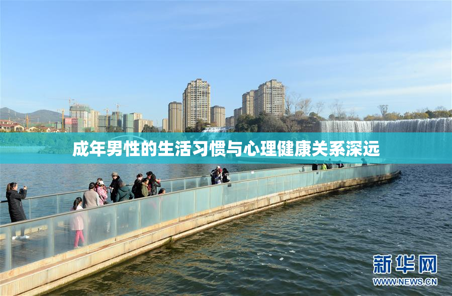 成年男性的生活习惯与心理健康关系深远