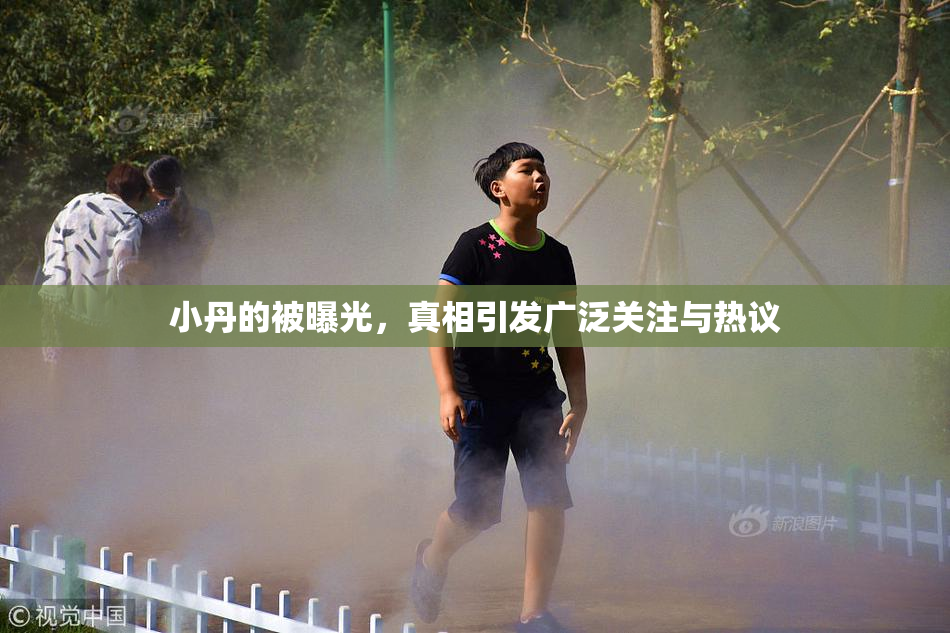 小丹的被曝光，真相引发广泛关注与热议