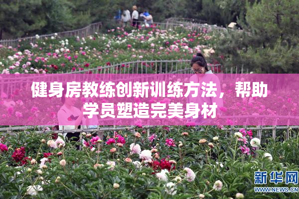 健身房教练创新训练方法，帮助学员塑造完美身材