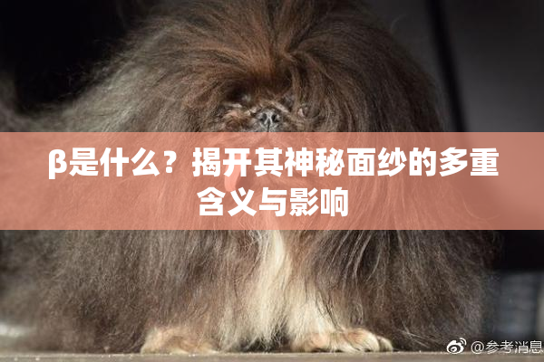 β是什么？揭开其神秘面纱的多重含义与影响