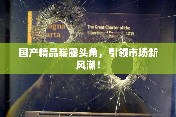 国产精品崭露头角，引领市场新风潮！