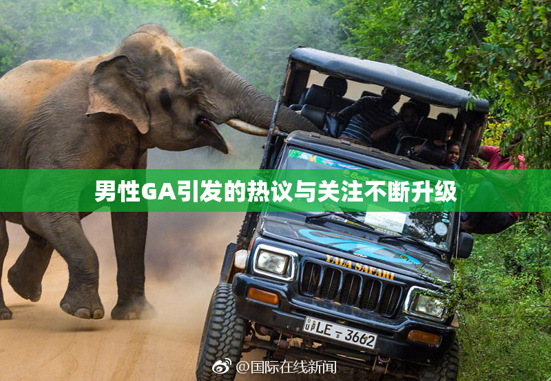 男性GA引发的热议与关注不断升级