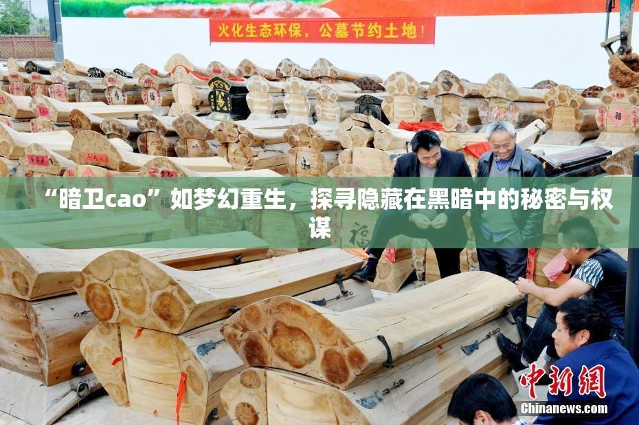 “暗卫cao”如梦幻重生，探寻隐藏在黑暗中的秘密与权谋