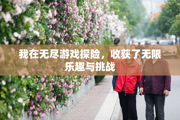我在无尽游戏探险，收获了无限乐趣与挑战