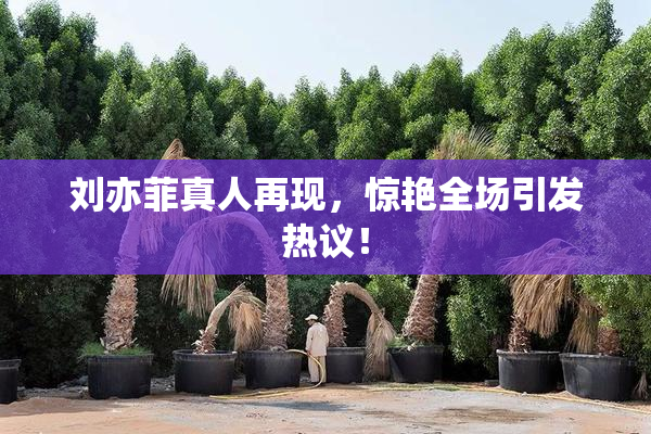 刘亦菲真人再现，惊艳全场引发热议！