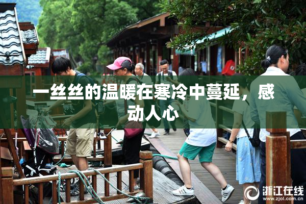 一丝丝的温暖在寒冷中蔓延，感动人心