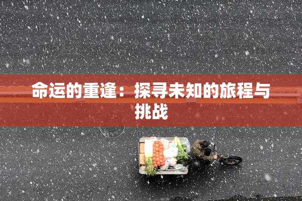 命运的重逢：探寻未知的旅程与挑战