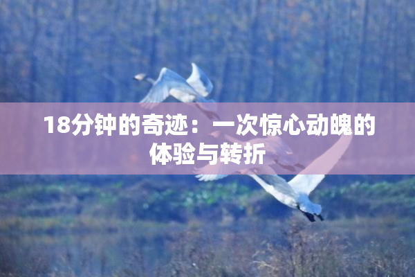 18分钟的奇迹：一次惊心动魄的体验与转折
