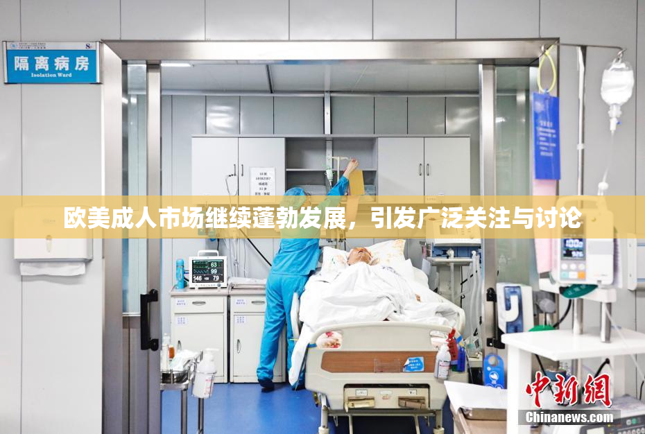 欧美成人市场继续蓬勃发展，引发广泛关注与讨论