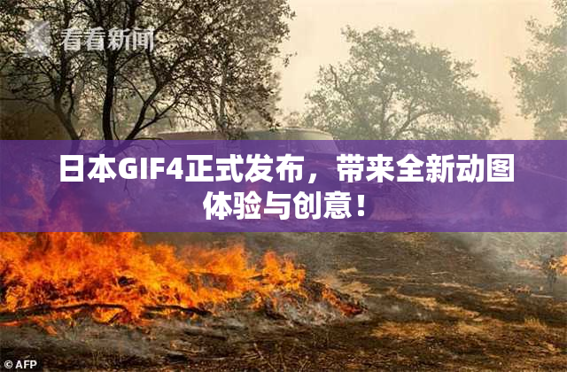 日本GIF4正式发布，带来全新动图体验与创意！