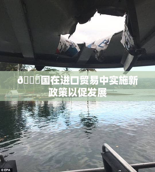 🔞国在进口贸易中实施新政策以促发展