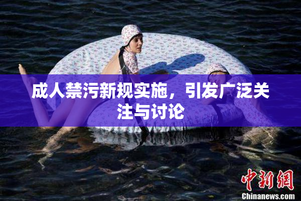 成人禁污新规实施，引发广泛关注与讨论