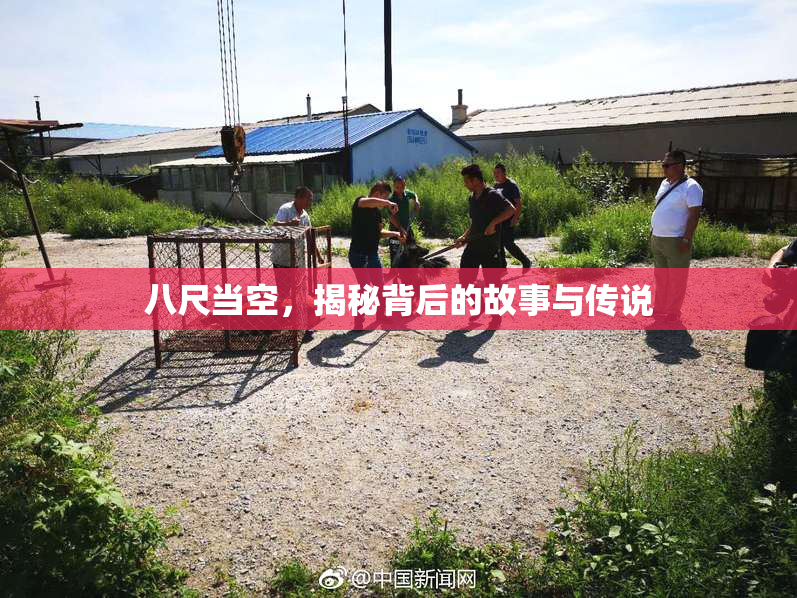 八尺当空，揭秘背后的故事与传说