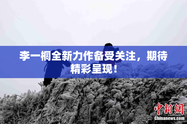 李一桐全新力作备受关注，期待精彩呈现！