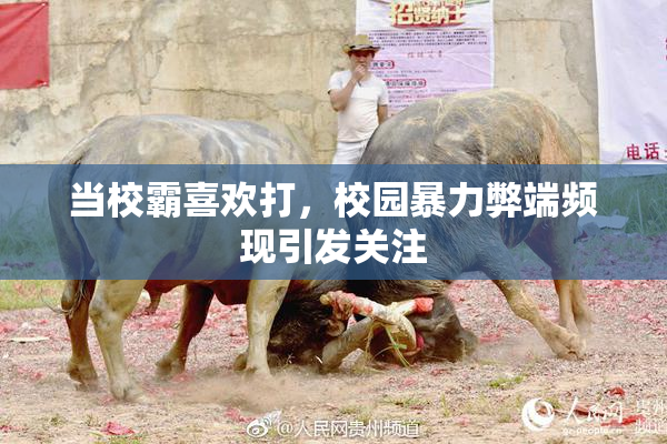 当校霸喜欢打，校园暴力弊端频现引发关注