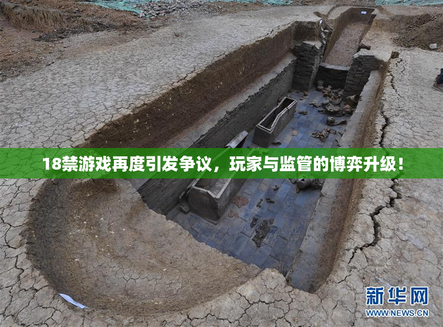 18禁游戏再度引发争议，玩家与监管的博弈升级！