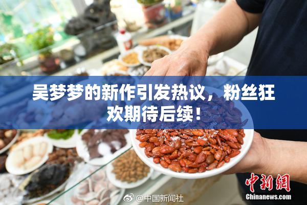 吴梦梦的新作引发热议，粉丝狂欢期待后续！
