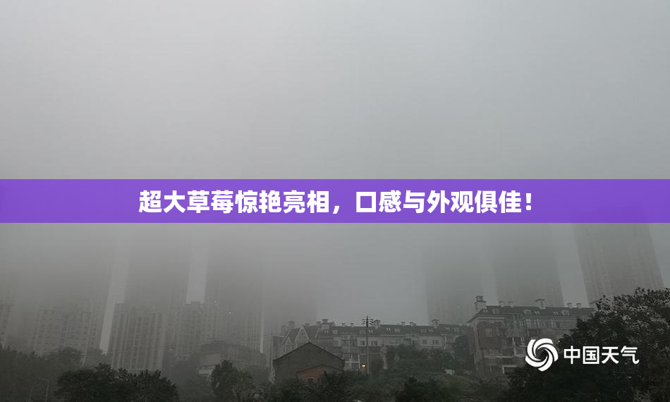 超大草莓惊艳亮相，口感与外观俱佳！