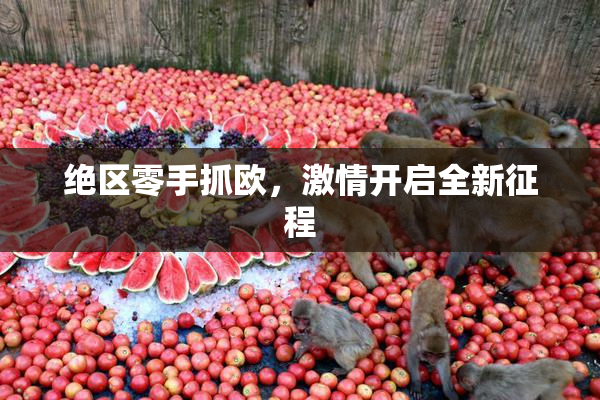 绝区零手抓欧，激情开启全新征程