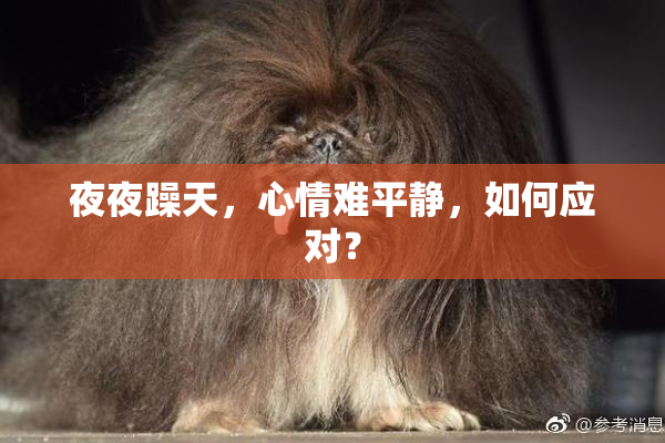 夜夜躁天，心情难平静，如何应对？