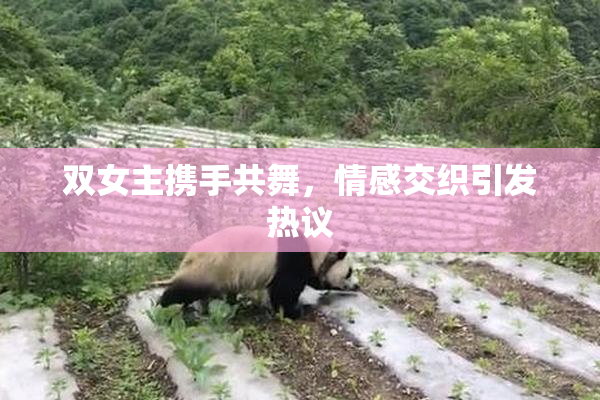 双女主携手共舞，情感交织引发热议