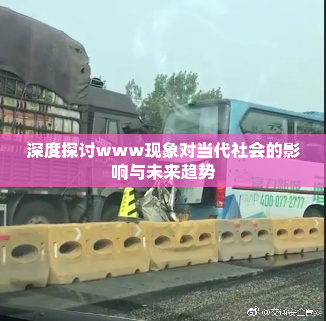深度探讨www现象对当代社会的影响与未来趋势