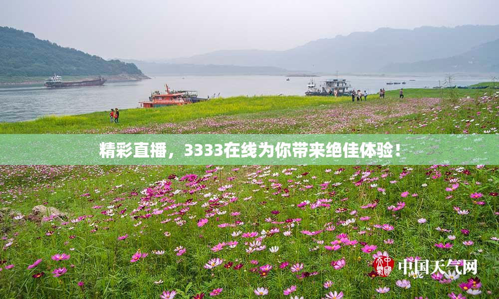 精彩直播，3333在线为你带来绝佳体验！