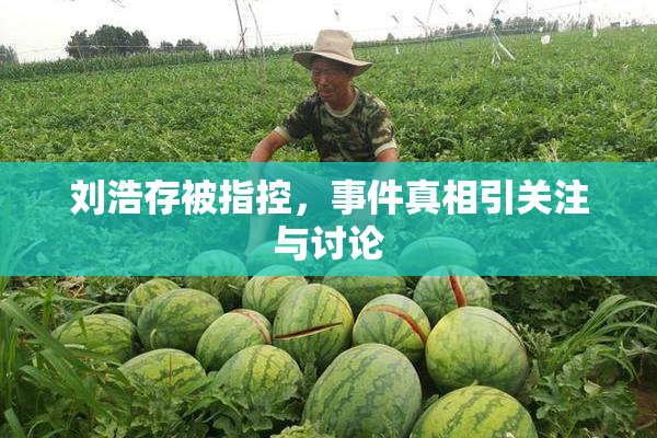 刘浩存被指控，事件真相引关注与讨论