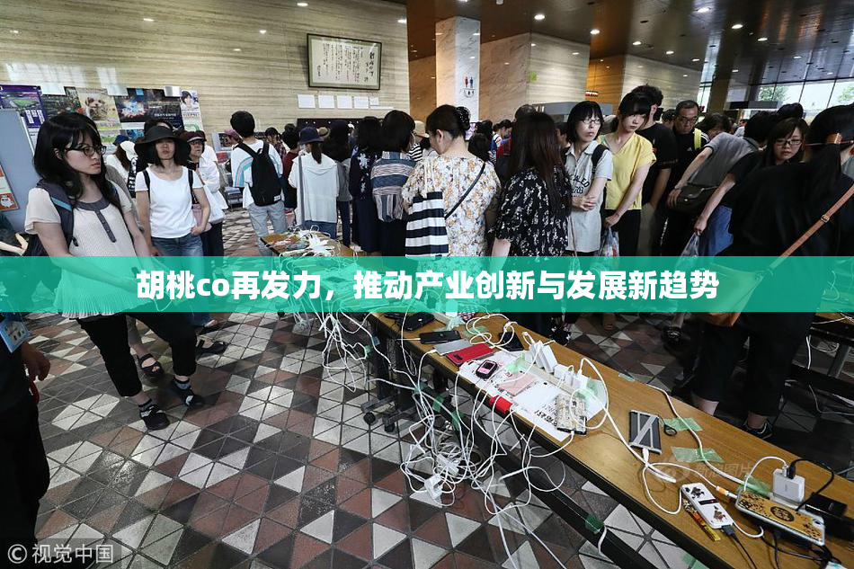 胡桃co再发力，推动产业创新与发展新趋势