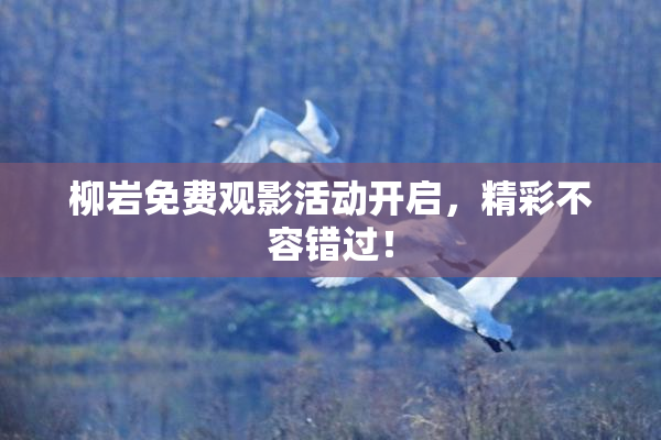 柳岩免费观影活动开启，精彩不容错过！