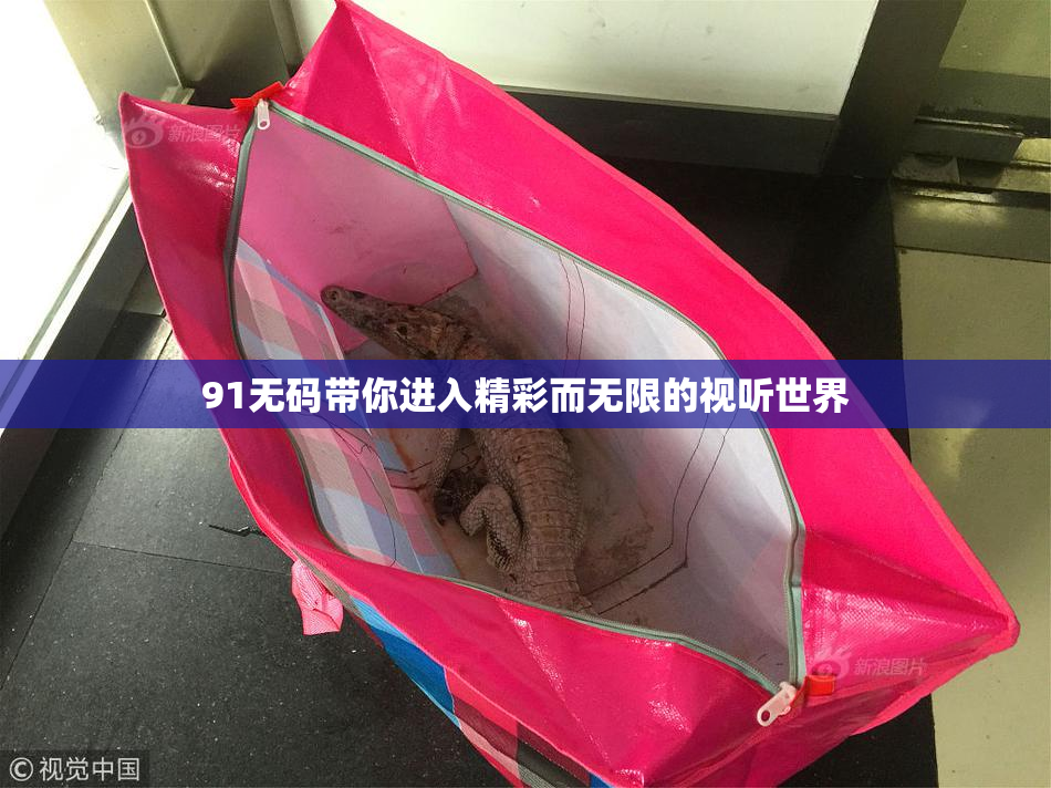 91无码带你进入精彩而无限的视听世界