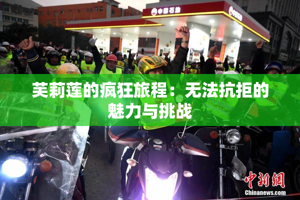 芙莉莲的疯狂旅程：无法抗拒的魅力与挑战