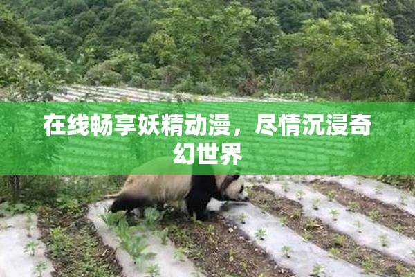在线畅享妖精动漫，尽情沉浸奇幻世界