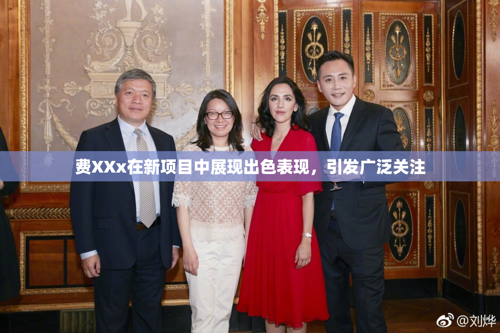 费XXx在新项目中展现出色表现，引发广泛关注