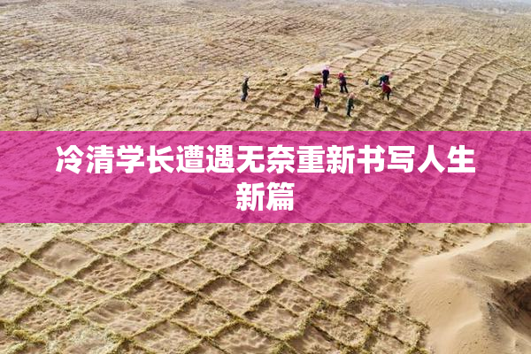 冷清学长遭遇无奈重新书写人生新篇