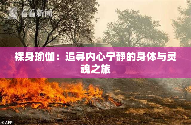 裸身瑜伽：追寻内心宁静的身体与灵魂之旅