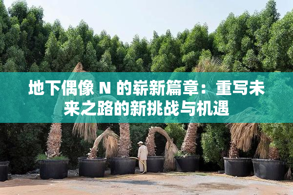 地下偶像 N 的崭新篇章：重写未来之路的新挑战与机遇