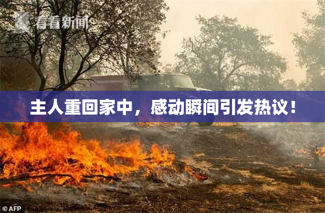 主人重回家中，感动瞬间引发热议！
