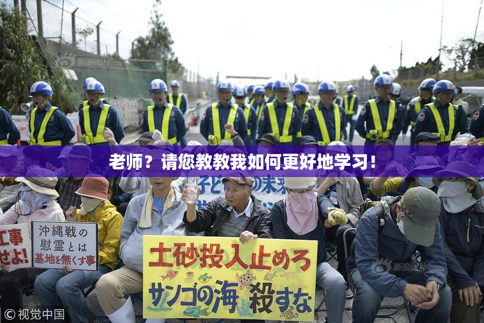 老师？请您教教我如何更好地学习！