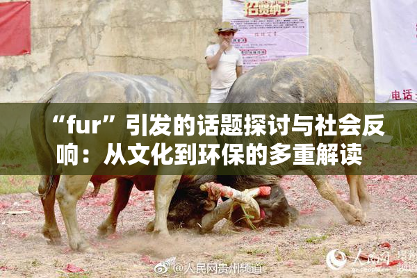 “fur”引发的话题探讨与社会反响：从文化到环保的多重解读