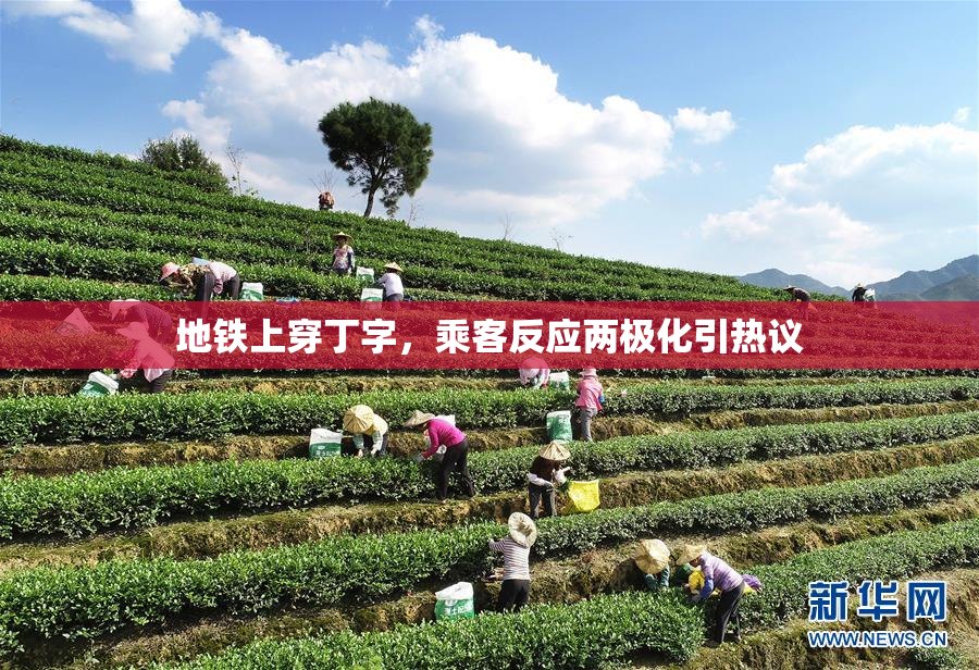 地铁上穿丁字，乘客反应两极化引热议