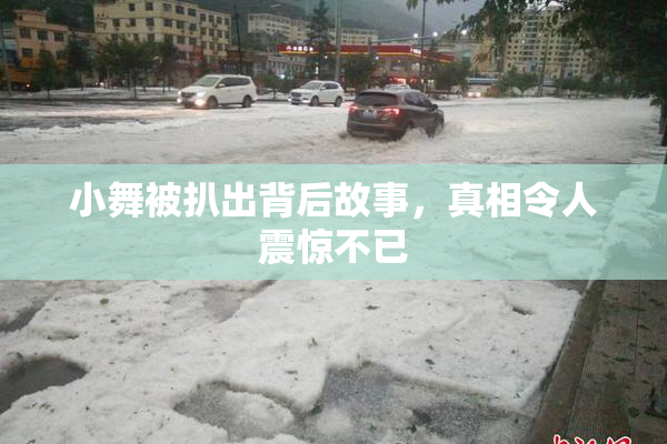 小舞被扒出背后故事，真相令人震惊不已
