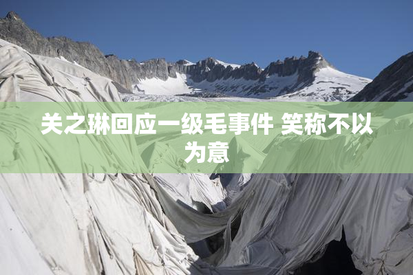 关之琳回应一级毛事件 笑称不以为意