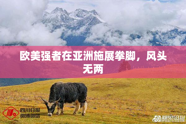 欧美强者在亚洲施展拳脚，风头无两