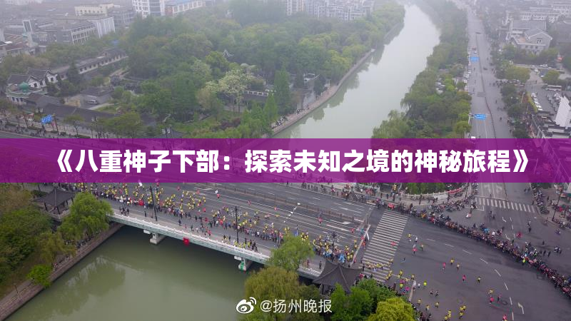 《八重神子下部：探索未知之境的神秘旅程》