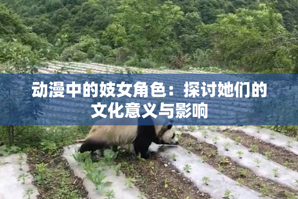 动漫中的妓女角色：探讨她们的文化意义与影响